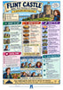 A colorful travel guide poster for Flint Castle in Wales, featuring illustrated scenes, local facts, food recommendations, and practical tips in a playful, cartoon-style layout.