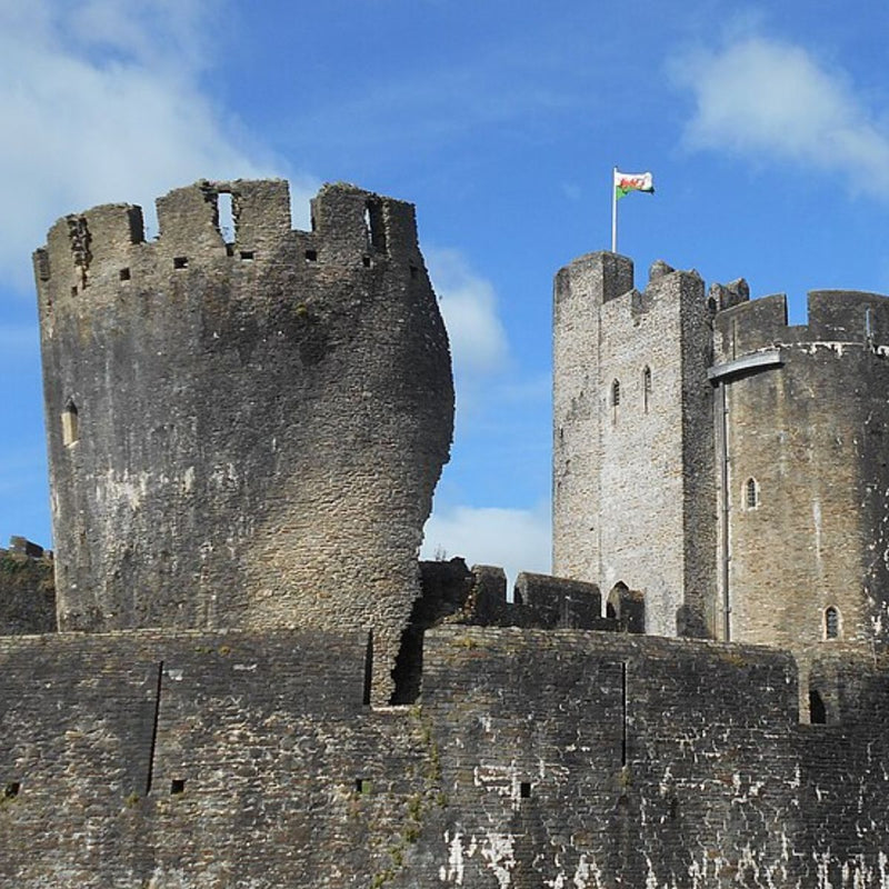 Caerphilly Castle