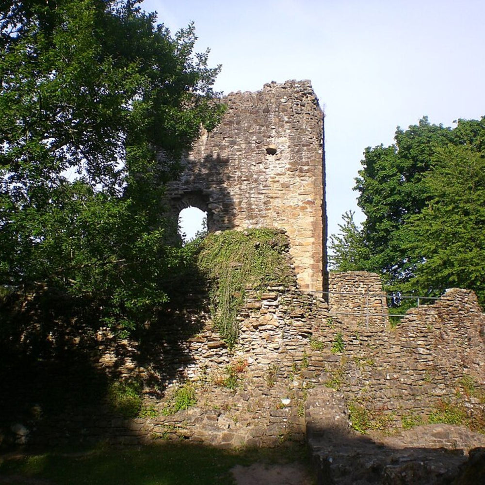 The ruins of Ewloe Castle in Flintshire