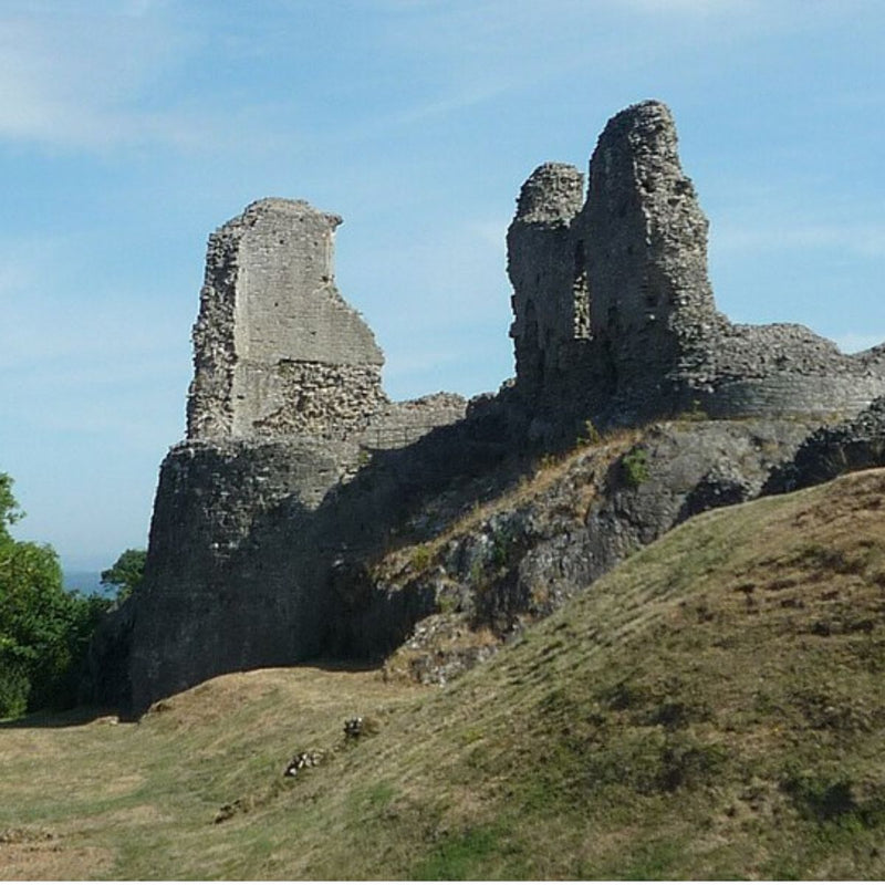 Montgomery Castle