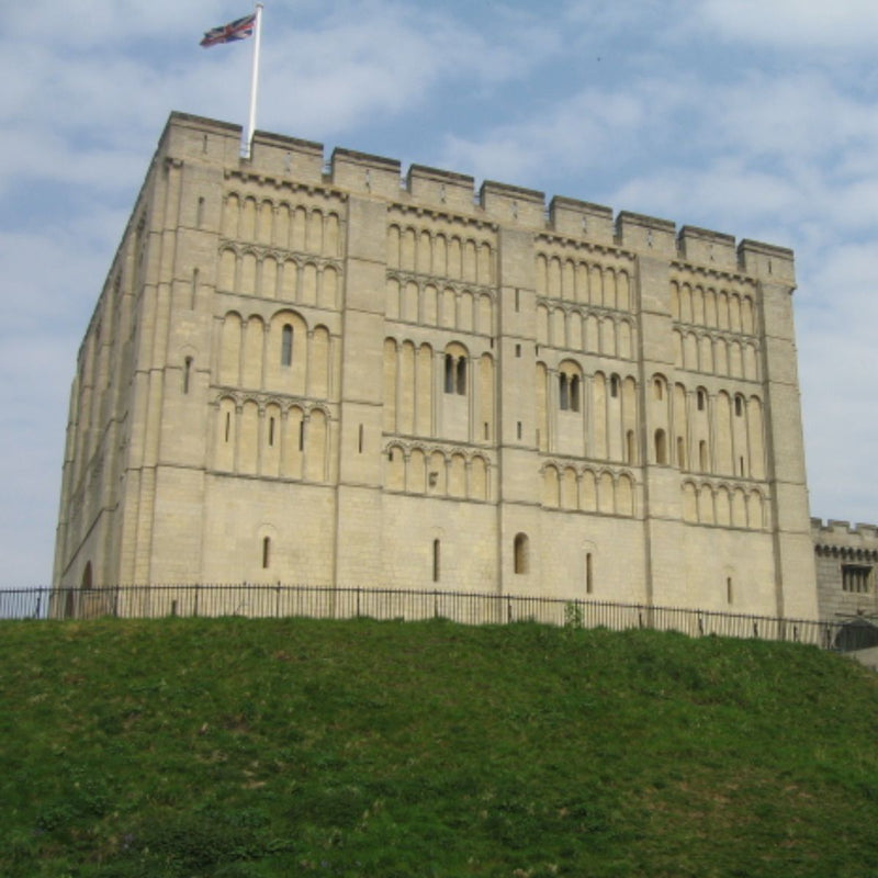 an exterior photograph of Norwich Castle