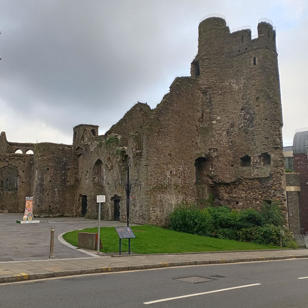 Swansea Castle