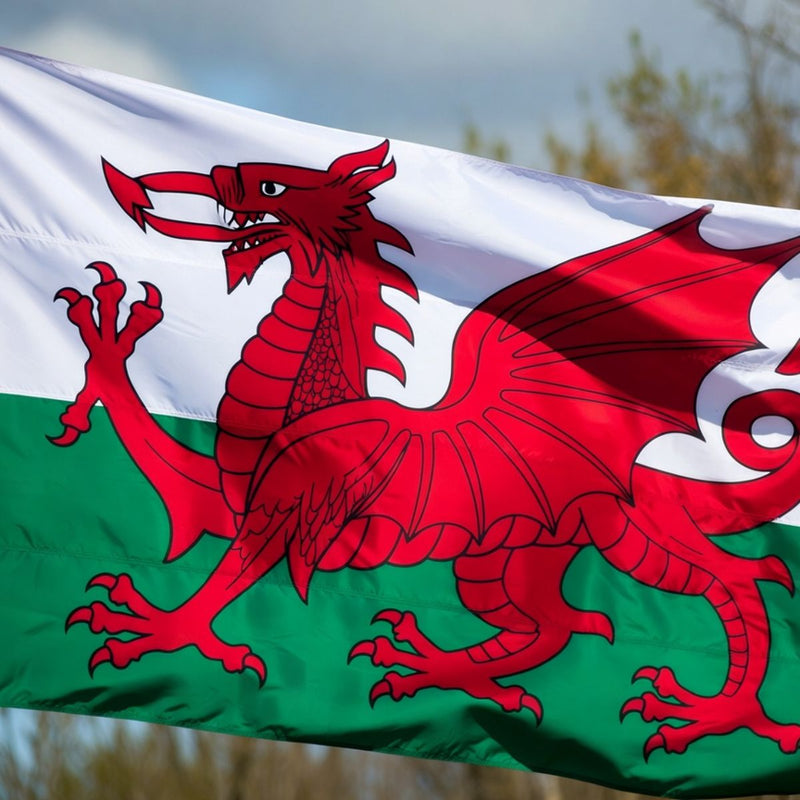 the national flag of Wales showing the Welsh dragin on a green and white background
