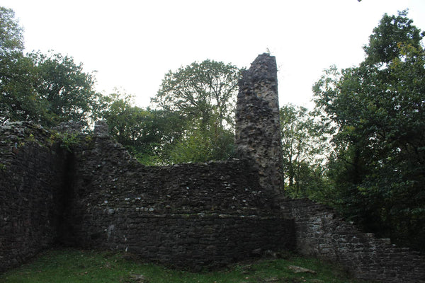 Ruined western tower and curtain wall of Ewloe Castle surrounded by woodland, October 2026