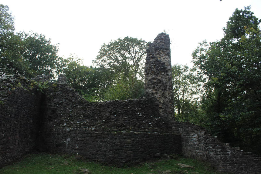 Ruined western tower and curtain wall of Ewloe Castle surrounded by woodland, October 2026