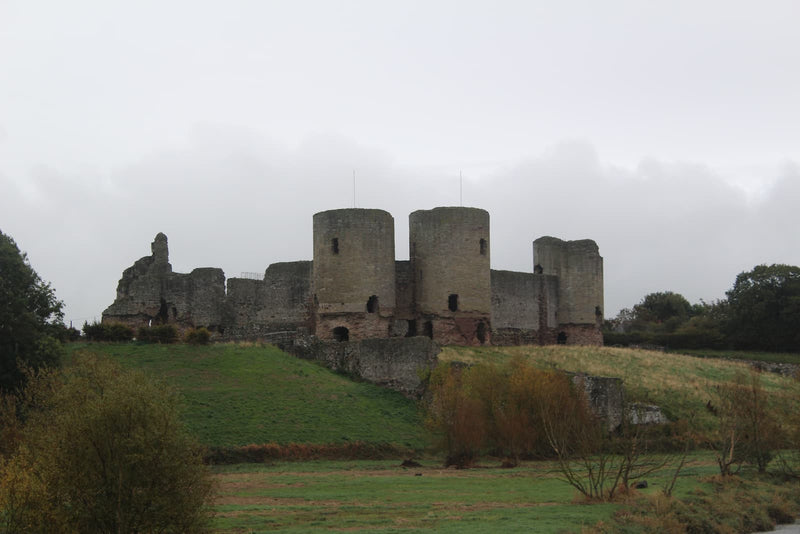 Rhuddlan Castle's twin-towered gatehouse seen across the riverside meadow