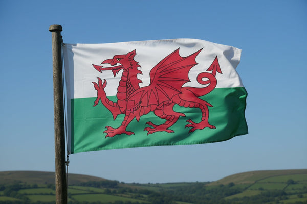 Welsh flag red dragon medieval princes of Wales: Symbol representing medieval princes who ruled Wales before English conquest and annexation