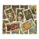 Collection of tarot cards with detailed artwork on a white background