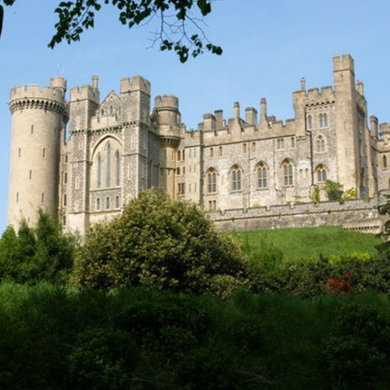 Large stone castle with turrets surrounded by greenery under a clear blue sky.