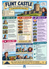 Flint Castle Free Illustrated Travel Guide