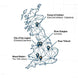 The Historical Search for King Arthur Course