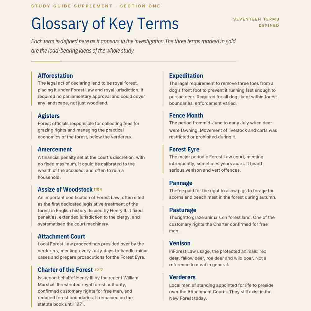 Glossary of key terms related to forest law on a white background