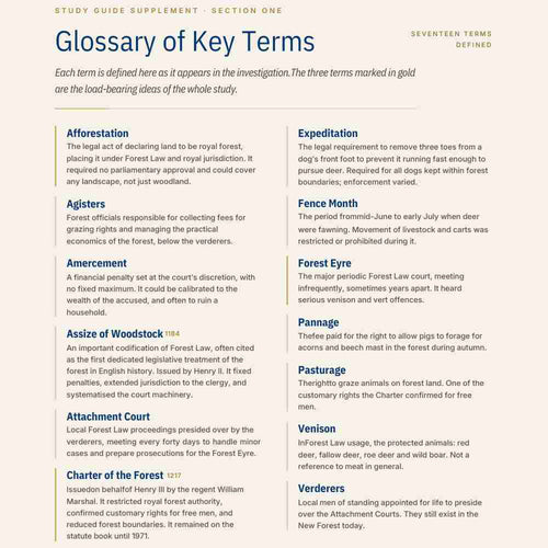 Glossary of key terms related to forest law on a white background