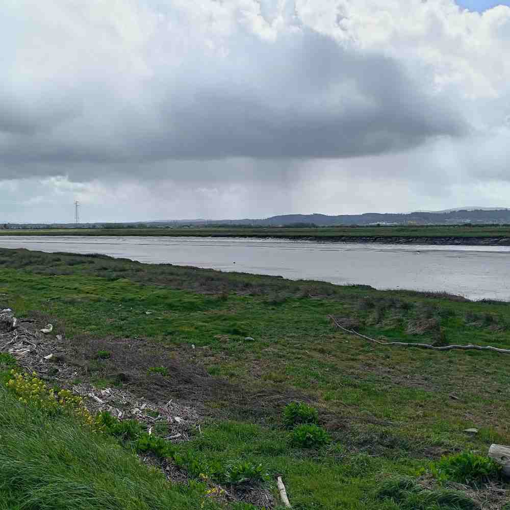 The River Clwyd under a cloudy sky, seen from the riverbank
