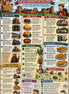 Informational poster about Ruthin Castle with various activities and attractions listed.