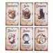 Wise Witch Oracle Cards – 20-Card Deck for Guidance, Magic & Everyday Insight Tarot Cards