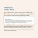 Text on a white background about the Statute of Jewry and its impact on Jewish life in England.