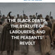 Study guide cover for 'The Black Death, The Statute of Labourers, and the Peasants' Revolt' from the History and Castles series, featuring a historical photograph of medieval peasants from behind walking through mud, with white and blue text overlays.