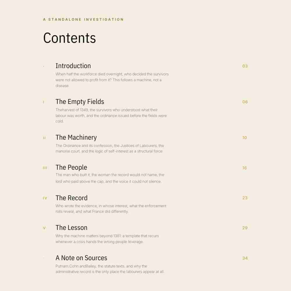 Table of contents for a standalone investigation book with chapter titles and page numbers.
