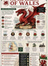 Infographic about the Red Dragon of Wales with historical information and graphics.