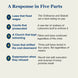 An infographic titled 'A Response in Five Parts' with the header 'HOW ENGLAND ANSWERED' on a light beige background. It lists five numbered points in dark blue text with brief explanatory text below each point, using blue and gold accents.