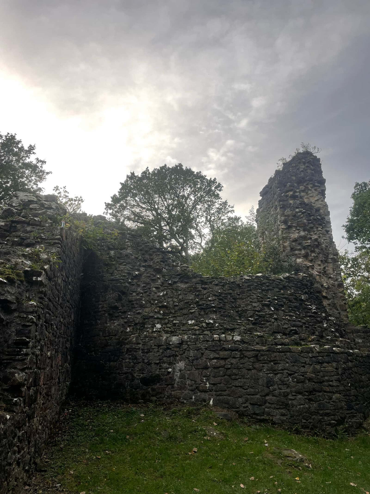 Ruined curtain wall and a tall fragment of tower at Ewloe Castle under a grey sky, October 2026