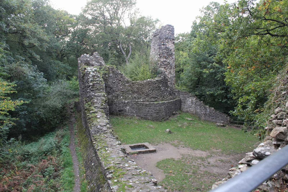 Lower ward of Ewloe Castle seen from above, its curtain wall leading to the ruined western tower in the woods, October 2026