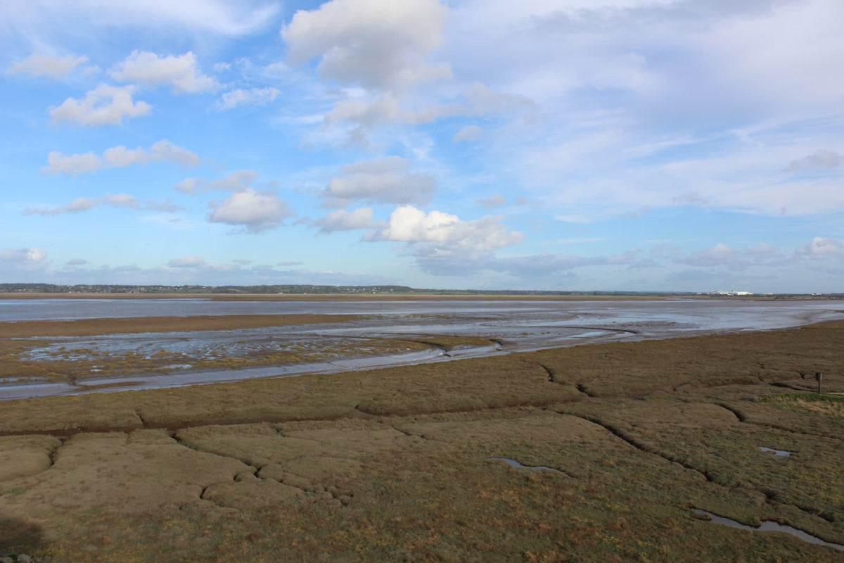 The salt marsh and the Dee Estuary seen from the top of the north-east tower of Flint Castle, October 2026