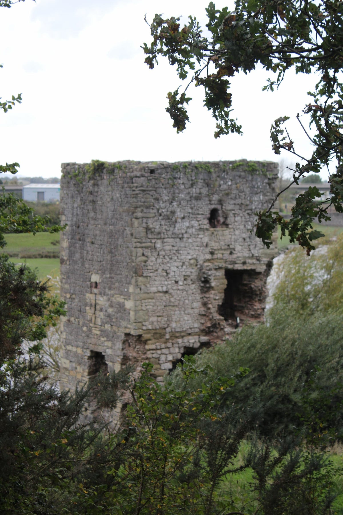 Gillot's Tower at Rhuddlan Castle seen through trees