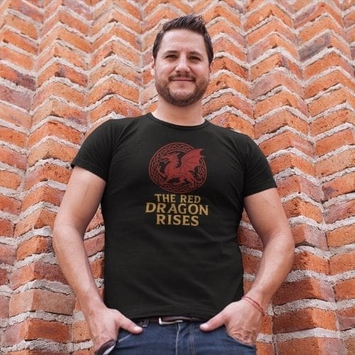 A man stands in front of a chevron-patterned brick wall, smiling with his hands in his pockets, wearing a Heavyweight Unisex Crewneck T-shirt | Gildan® 5000 Black featuring a red dragon graphic and the words THE RED DRAGON RISES.